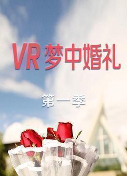 VR梦中婚礼第一季