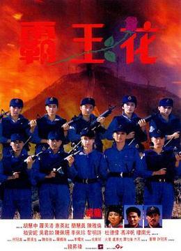 霸王花1988粤语