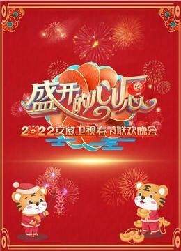 2022安徽春节联欢晚会 